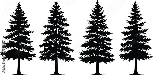 Pine tree silhouette forest illustration, evergreen conifer trees vector, nature landscape design, black pine trees isolated on white background art