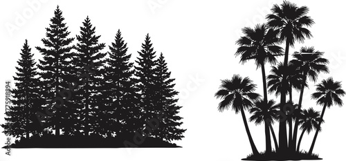 Silhouette of pine and palm trees together, tropical and conifer forest contrast illustration, black and white nature landscape vector design