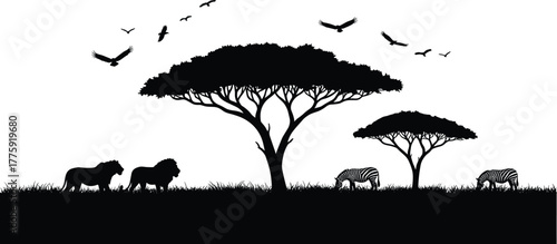 African savanna wildlife landscape silhouette with lions, zebras, trees and flying birds, safari nature illustration design for travel background