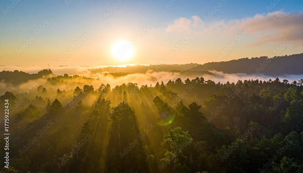 Obraz premium Sunrise Over Lush Forest With Sun Rays Shining Through Mist And Trees Creating Dramatic Light Effect With Calm Atmosphere And Golden Hour Lighting