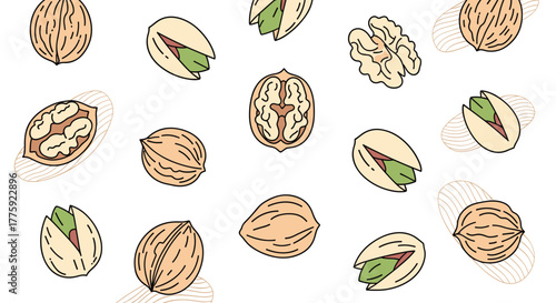 Hand-drawn illustration of various walnuts and pistachios scattered on a white background, forming a delightful pattern.