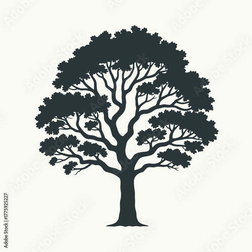 Silhouette of a large deciduous tree with intricate branches and lush foliage