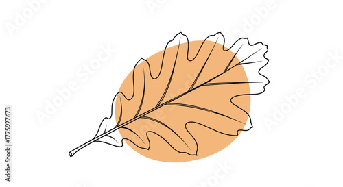 Minimalist line drawing of an oak leaf with a distinctive lobed edge, overlaid on a warm, earthy-toned oval shape.