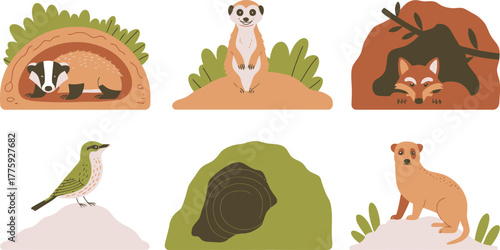 Badger, Meerkat, Fox, Bird and Burrow Illustration Cartoon Animals and Underground Homes Depicted