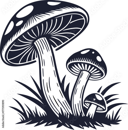 vector illustration of mushrooms