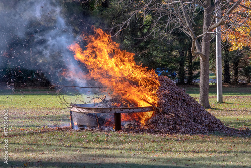 Burning fall leaves on a windy day  in autumn
