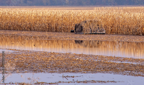 Hunting blind for duck hunters sits in a flooded corn field in Indiana USA