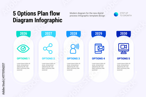 5 Option Plan Flow Diagram Infographic