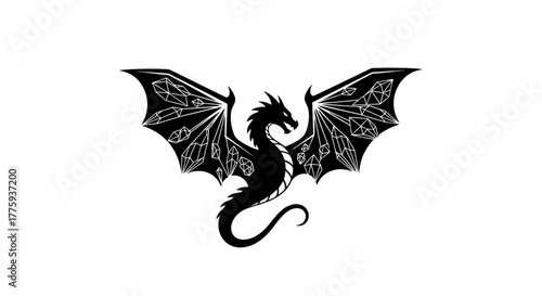 A black silhouette of a dragon with intricate, crystalline wings spread wide against a white background.