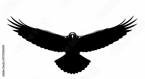 Silhouette of a black bird with wings spread wide, viewed from directly above.