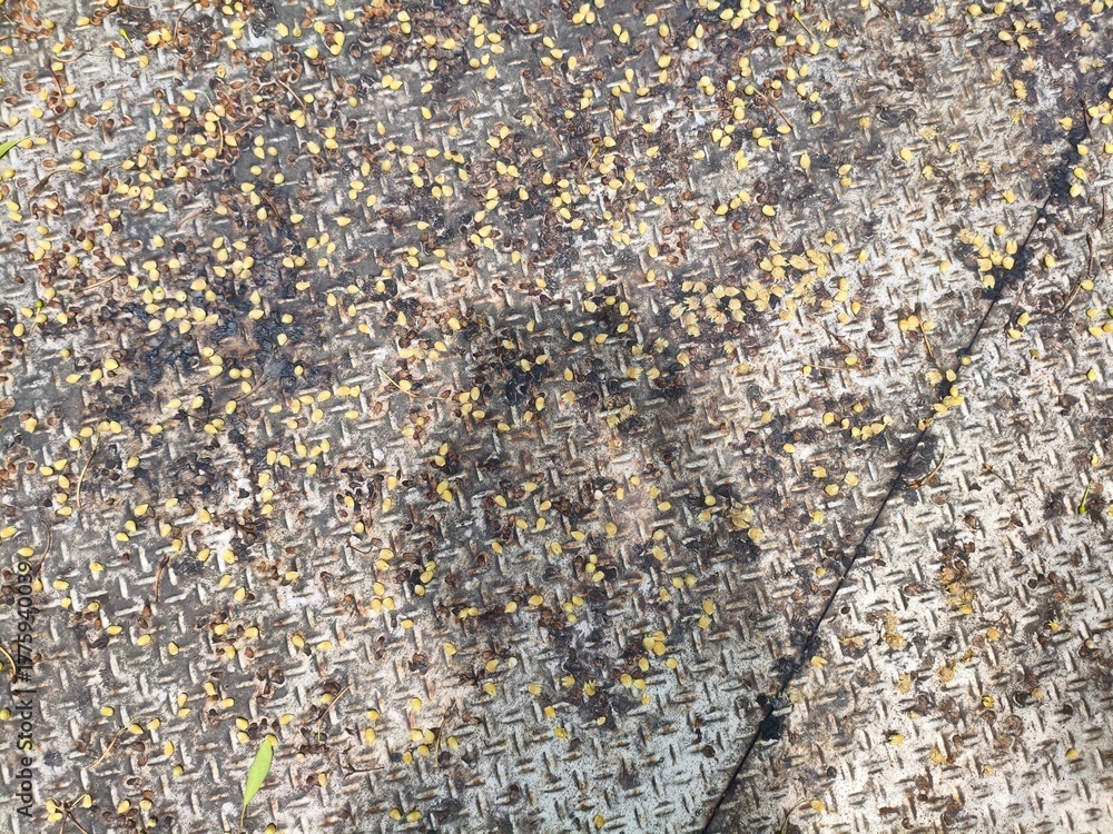 Fototapeta premium Diamond Plate Floor with Scattered Organic Debris
