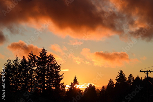 Sunset Over a Forest of Evergreen Trees