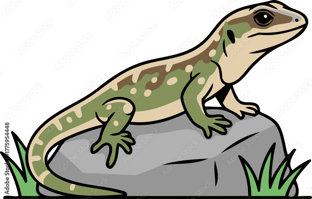 Obraz premium Cute Aegean Wall Lizard (Podarcis Erhardii) resting on rock, reptile animal character clipart isolated on transparent background