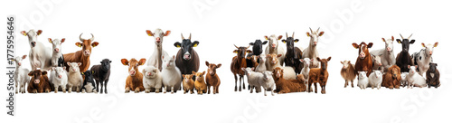 Diverse Group of Farm Animals Including Cows, Sheep, and Goats, PNG bundle collection, Isolated on Transparent Background
