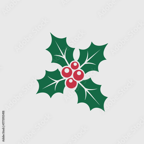 Christmas holly vector 