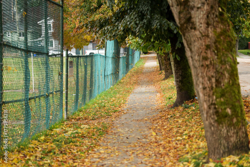 Autumn Path with Fallen Leaves Beside a Green Chain-link Fence