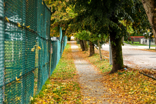 Autumn Path with Fallen Leaves Beside a Green Chain-link Fence