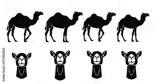 Camel silhouette vector set desert animal illustration graphic art