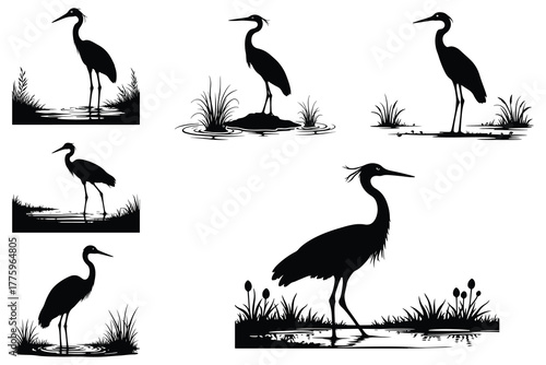Black silhouettes of herons standing in water and grass