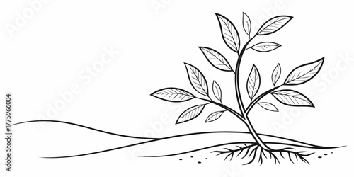 Vector illustration of a small plant with leaves and roots growing from the ground in black and white style