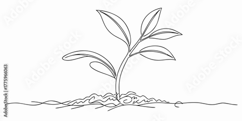 Vector drawing of a young plant sprouting from soil with several leaves in a continuous line art style