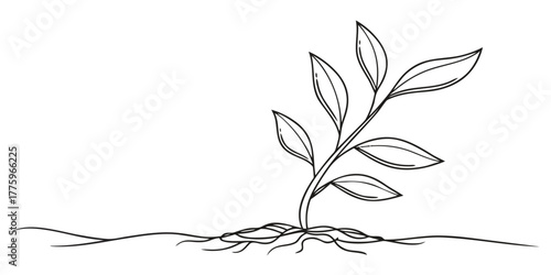 Vector illustration of a young plant with leaves sprouting from the ground with visible roots in black and white