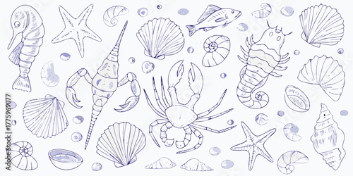 Collection of hand drawn marine life and shells in a whimsical sketch style