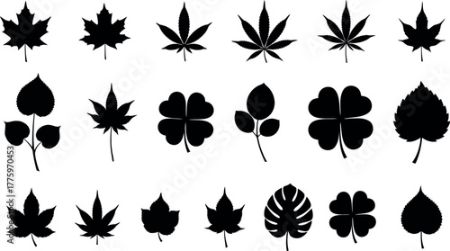 Collection of various leaf silhouettes including maple, clover, and cannabis, isolated on white background