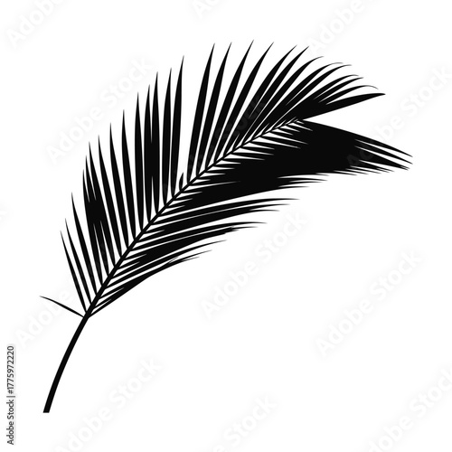 Elegant silhouette of a potted plant, minimalist design with natural charm