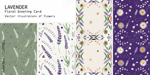 Collection of lavender and daisy floral patterns and illustrations for greeting cards