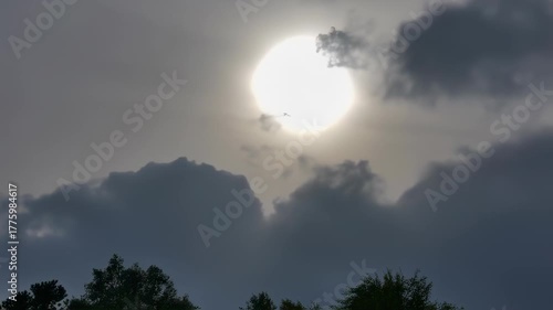 A bright sun, filtered by clouds, shines above the tree line. Grey tones dominate the scene