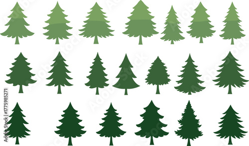 Evergreen tree collection, stylized pine illustration, green forest design, seasonal nature art, decorative foliage, botanical silhouette, winter woodland, environmental symbol