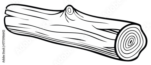 Line drawing of a fallen tree trunk showing rings and textured surface