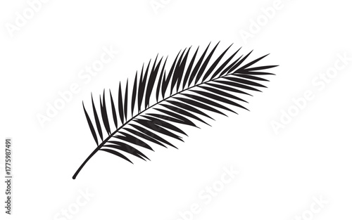 Palm Leaf Silhouette Vector – Tropical Botanical Nature Illustration Design