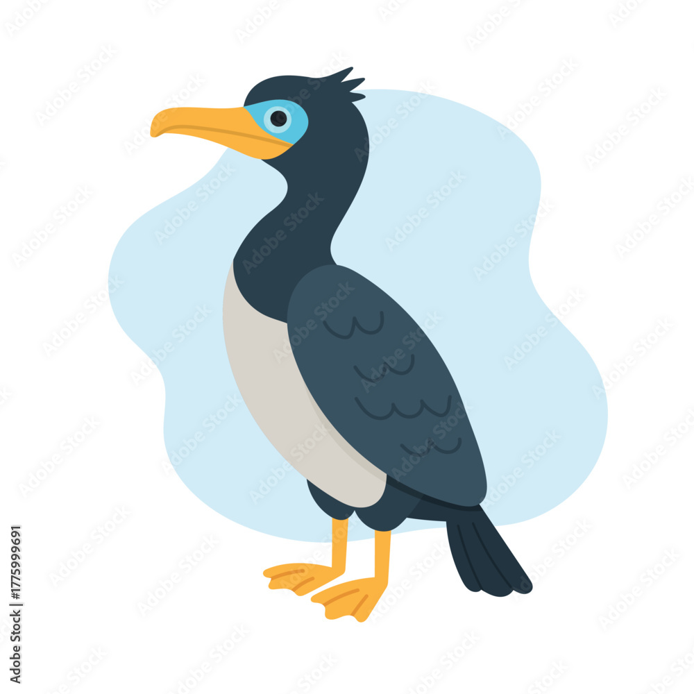 Obraz premium Blue-eyed cormorant stands tall with sleek dark feathers, cormorant shines under sunlight, cormorant posture shows elegance of marine bird life and artistic natural design for wildlife lovers.