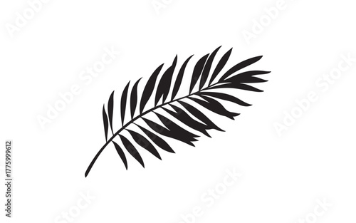 Palm Leaf Silhouette Vector – Tropical Botanical Nature Illustration Design