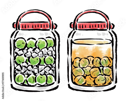 瓶で作る自家製梅酒　筆タッチ手描きイラスト