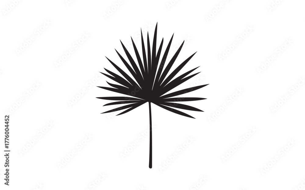 Fototapeta premium dandelion isolated on white background