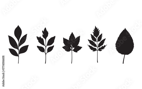 set of autumn leaves