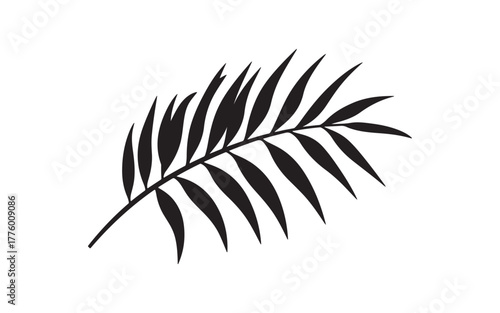 Palm Leaf Silhouette Vector – Tropical Botanical Nature Illustration Design