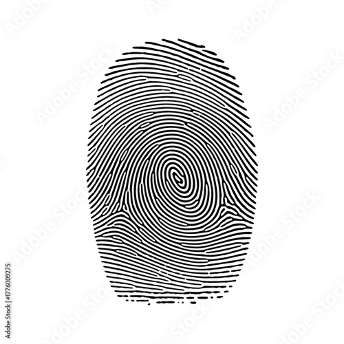 Detailed black and white fingerprint graphic, unique biometric identifier, human skin texture pattern illustration
