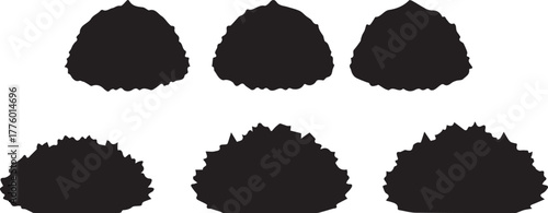 Decorative Hedge Bush Silhouette Illustration