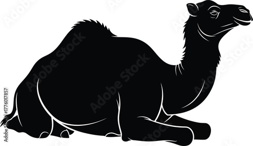 Black camel silhouette vector illustration desert animal design art eps