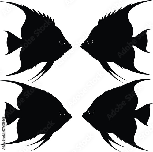 Angelfish silhouette vector illustration aquarium fish design graphic eps
