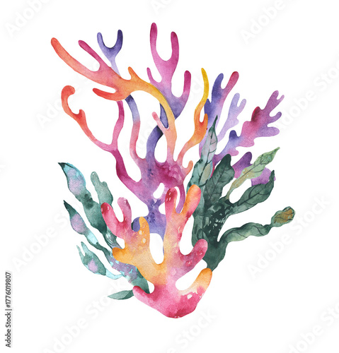 Coral and seaweed watercolor set