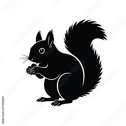 Black squirrel holding nut