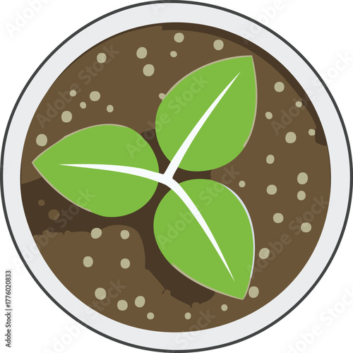 Flat Design Seedling Sprout Subject in Small Pot with Two Glossy Leaves Soft Soil Mound and Top-Down Framing