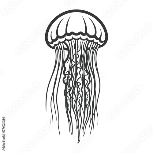 Line art illustration of a jellyfish