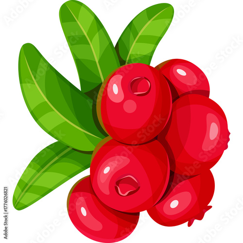 Red ripe cranberries with green leaves on a transparent background vibrant healthy berries isolated for graphic design and food illustration