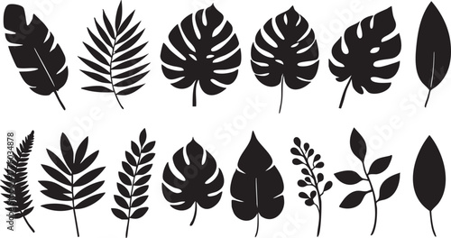 Tropical leaf vector set: monstera, palm, and fern leaf silhouettes eps